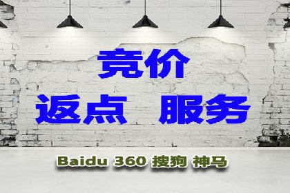 解析SEM竞价代运营的成功要素及案例